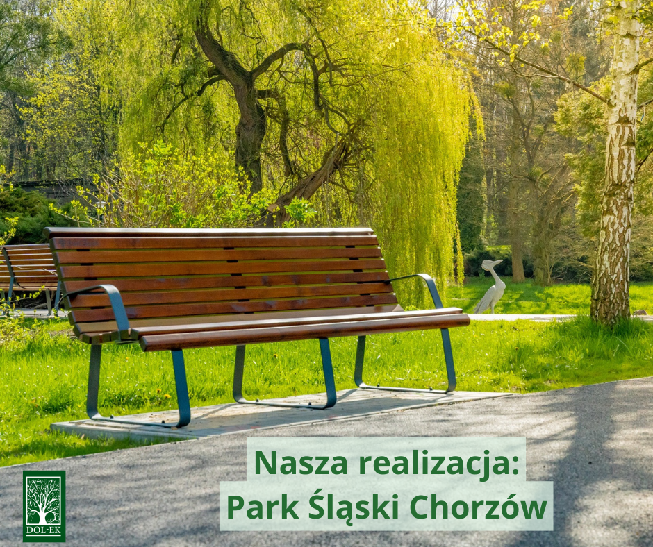 Nasza realizacja w sercu Śląska – nowe oblicze Parku Śląskiego w Chorzowie